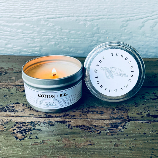 How We Chose Our Name - The Turquoise Tortuga